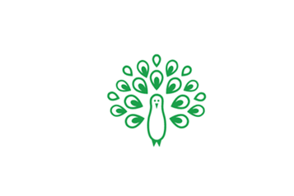 Virtue Analytics LLC- Saint Paul, MN 55129