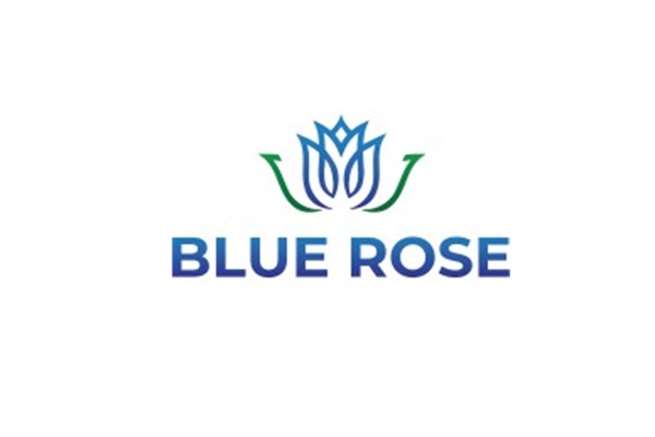 Blue Rose Consulting Group Inc-Manassas, VA 20110