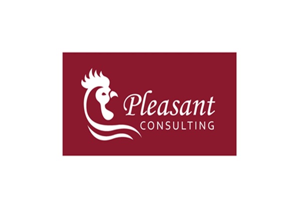 Pleasant Consulting LLC-Burnsville, MN 55337